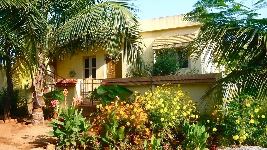 Yellow house behind a lush garden of palms and bright flowering shrubs